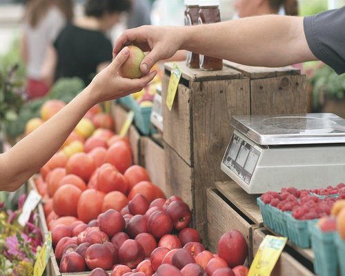 Preparing lunchbox with fresh local food